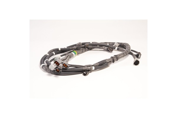 Product Overview of Engine Wiring Harness 60311903
