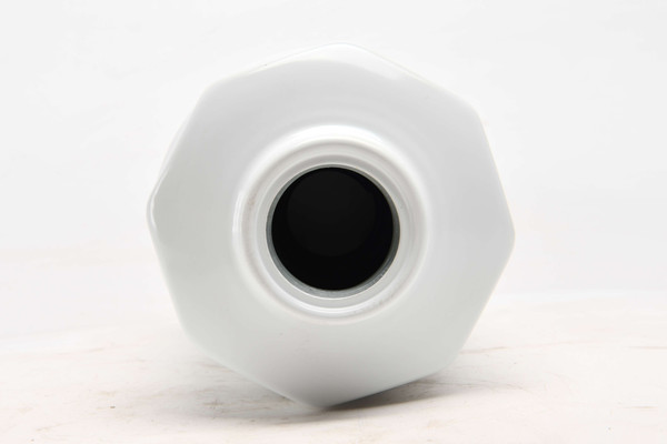 SANY Fuel Pre-Filter Element 160102100004B174 side view