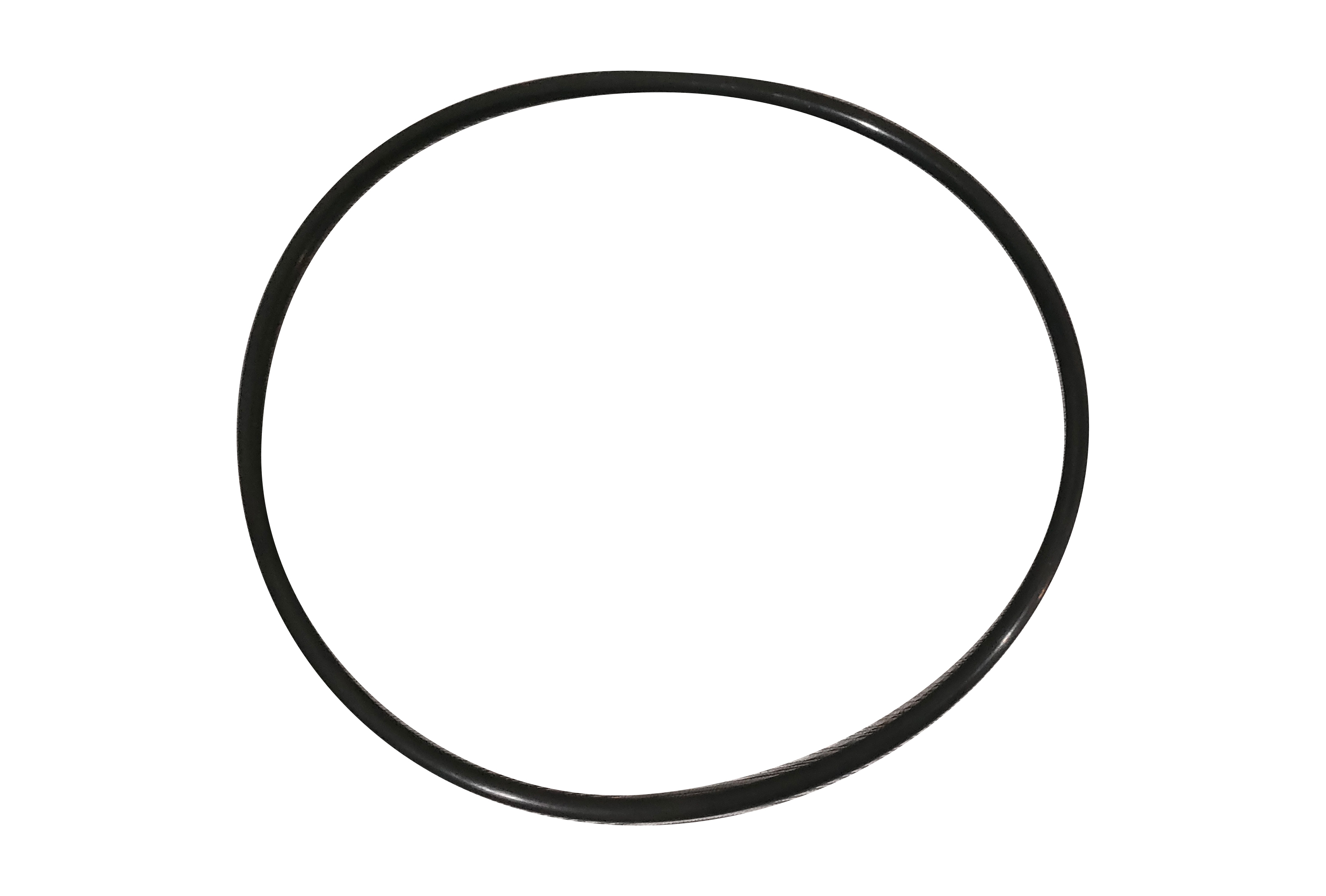 SANY O-Ring 60112246 close-up detail