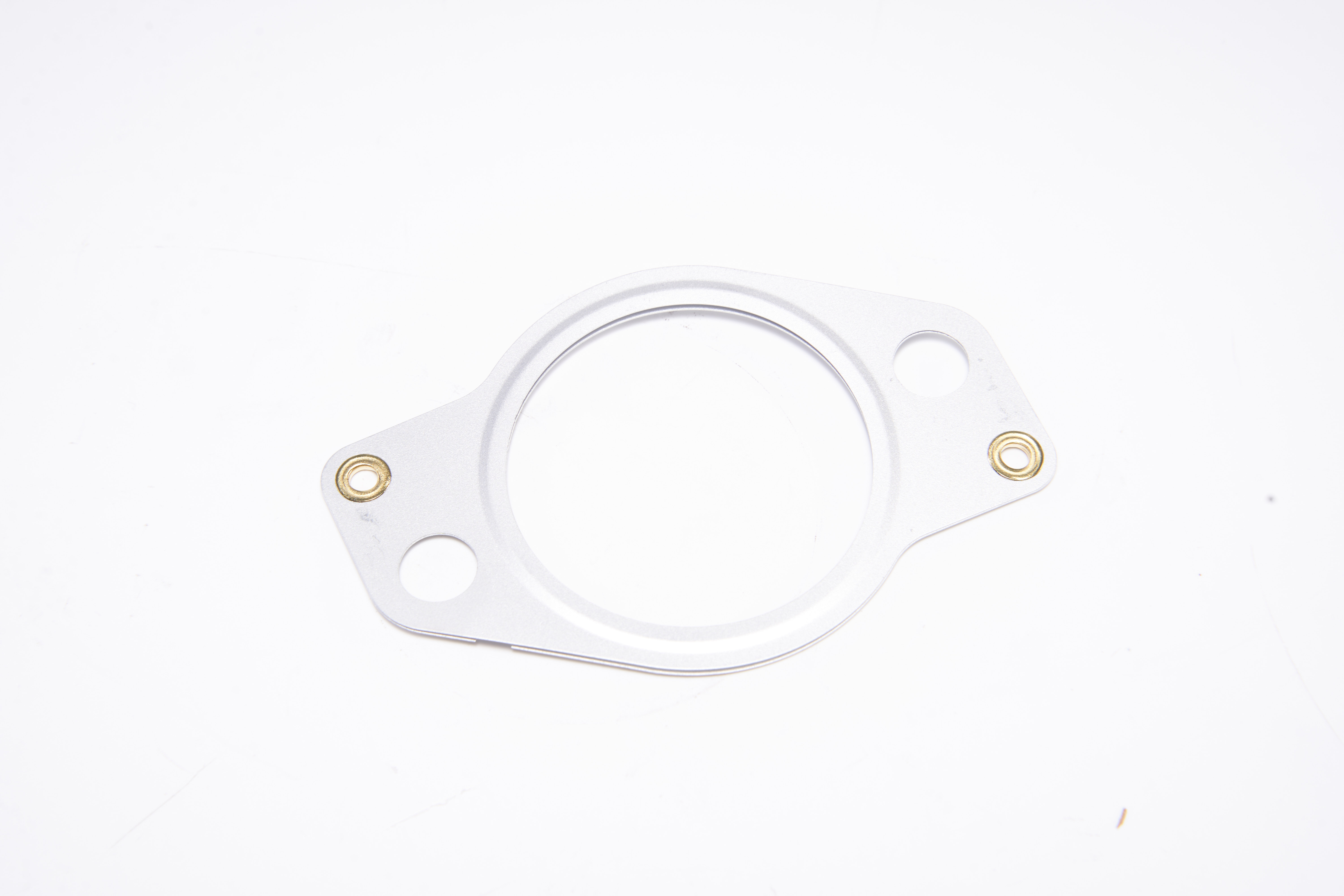 Product Overview of Sealing Gasket 60289258