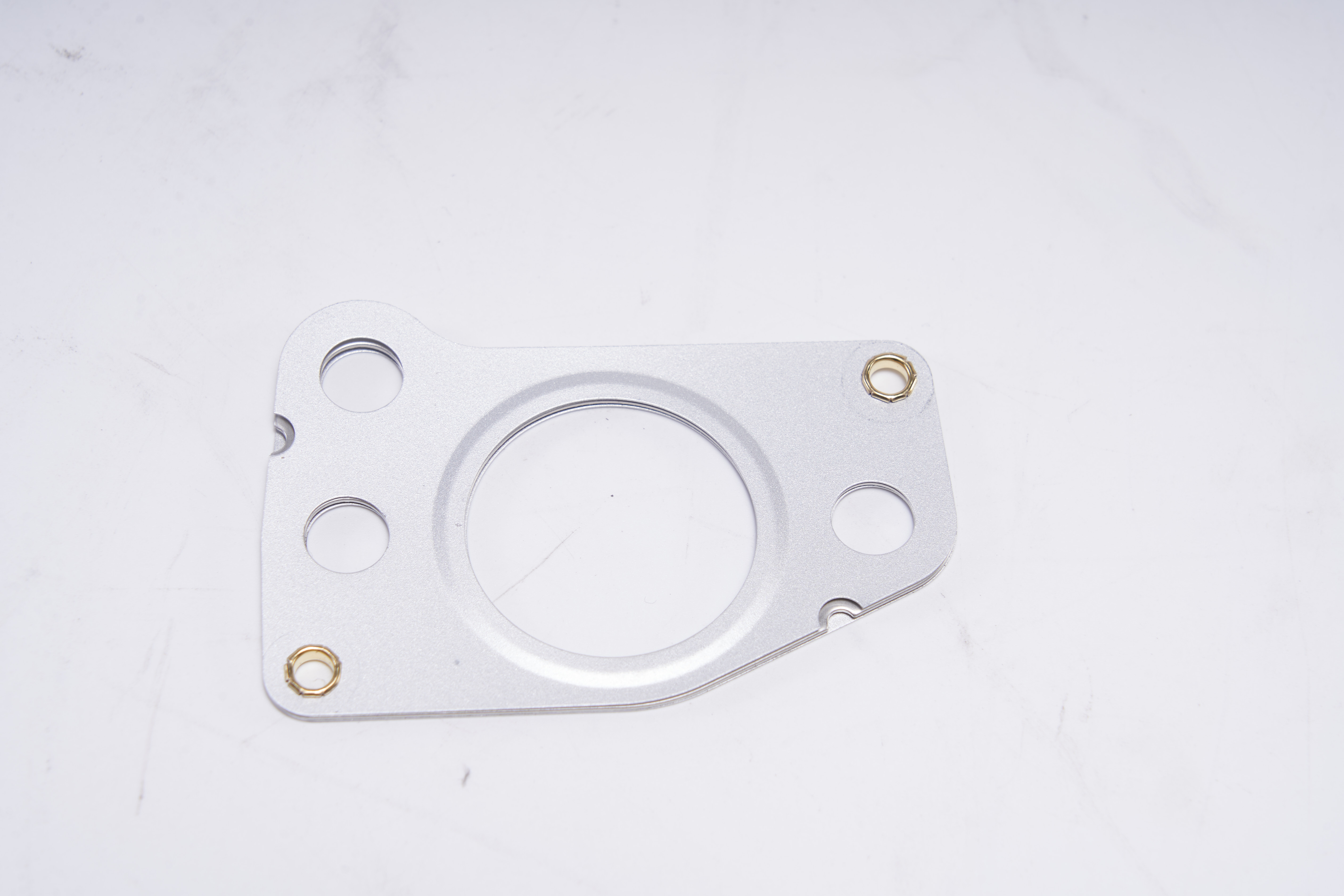 Product Overview of Sealing Gasket 60289259